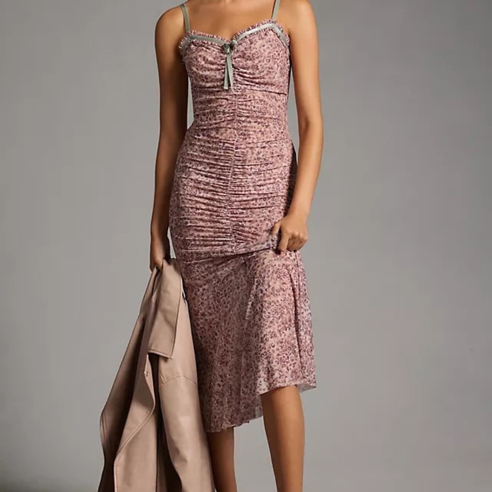NWT By Anthropologie Sheer Mesh Dress - Size XXS- Pink Combo - Picture 3 of 10
